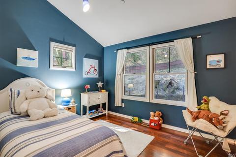 159 Forrest Ave, Fairfax, CA 94930 photo 35