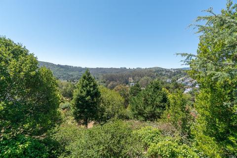 453 Wellesley Ave, Mill Valley, CA 94941 photo 13