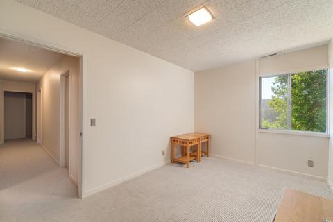 453 Wellesley Ave, Mill Valley, CA 94941 photo 23