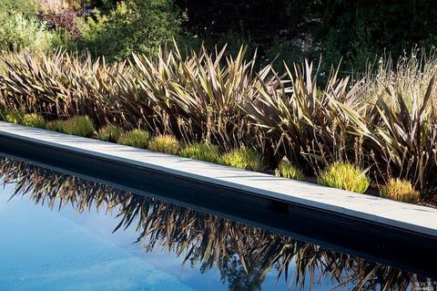 Undisclosed, Mill Valley, CA 94941 photo 25