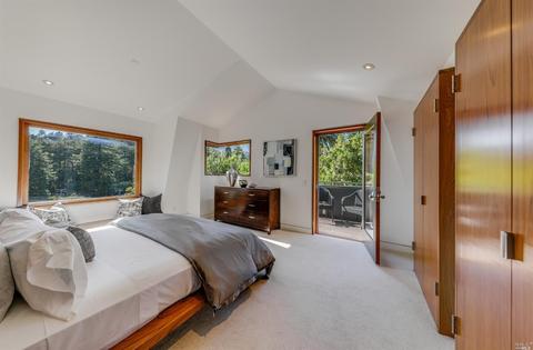 29 Roosevelt Ave, Mill Valley, CA 94941 photo 32