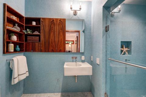 29 Roosevelt Ave, Mill Valley, CA 94941 photo 58