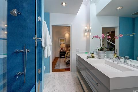 29 Roosevelt Ave, Mill Valley, CA 94941 photo 47