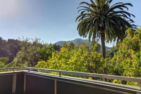 29 Roosevelt Ave, Mill Valley, CA 94941 photo 37
