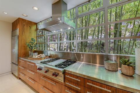 29 Roosevelt Ave, Mill Valley, CA 94941 photo 26