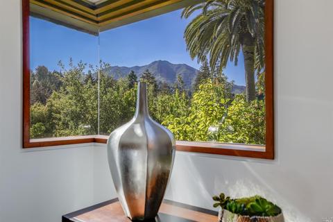 29 Roosevelt Ave, Mill Valley, CA 94941 photo 35