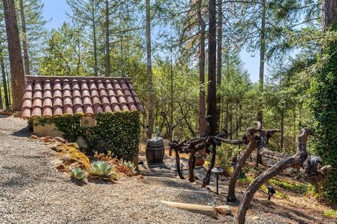 300 Alta Loma Dr, Angwin, CA 94508 photo 28