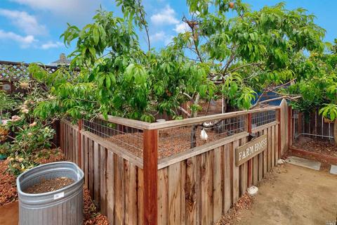 1633 E Madison St, Petaluma, CA 94954 photo 8