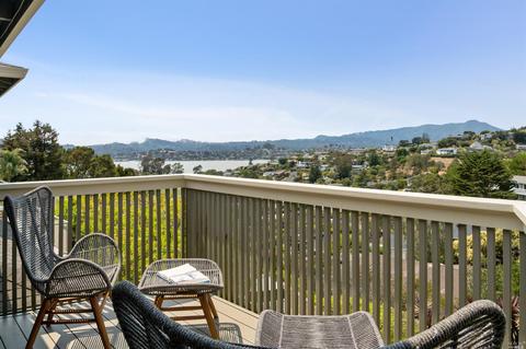 41 Geldert Ct, Tiburon, CA 94920 photo 49
