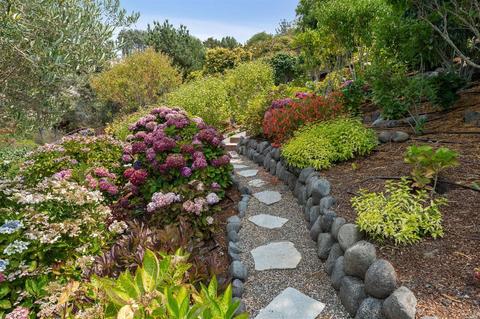 41 Geldert Ct, Tiburon, CA 94920 photo 79