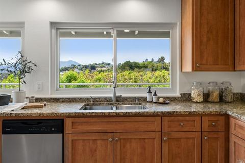 41 Geldert Ct, Tiburon, CA 94920 photo 29