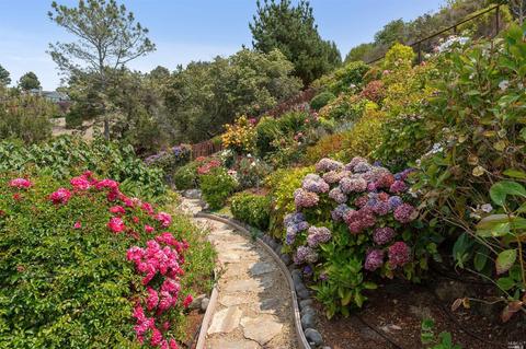 41 Geldert Ct, Tiburon, CA 94920 photo 5