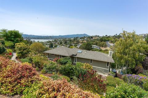 41 Geldert Ct, Tiburon, CA 94920 photo 77