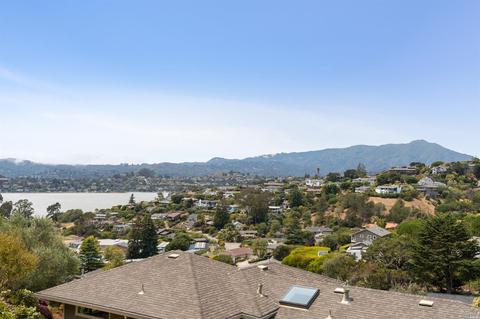 41 Geldert Ct, Tiburon, CA 94920 photo 78