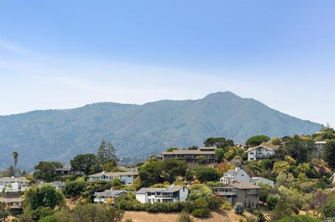 41 Geldert Ct, Tiburon, CA 94920 photo 50