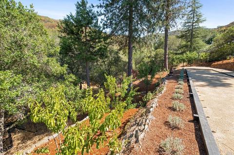 11 Thunderbird Dr, Novato, CA 94949 photo 75