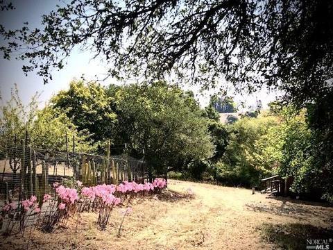 3431 Burnside Rd, Sebastopol, CA 95472 photo 66