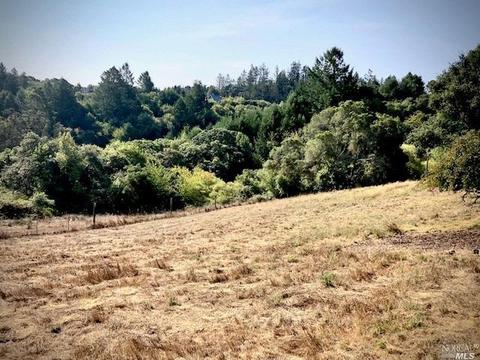 3431 Burnside Rd, Sebastopol, CA 95472 photo 65