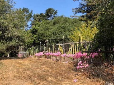 3431 Burnside Rd, Sebastopol, CA 95472 photo 67