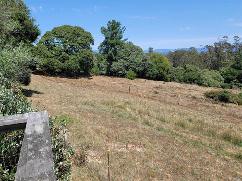 3431 Burnside Rd, Sebastopol, CA 95472 photo 27