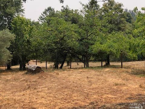 3431 Burnside Rd, Sebastopol, CA 95472 photo 70