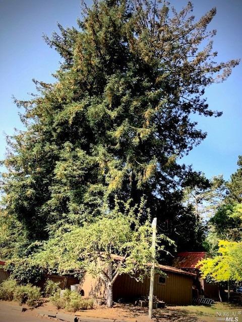 3431 Burnside Rd, Sebastopol, CA 95472 photo 53
