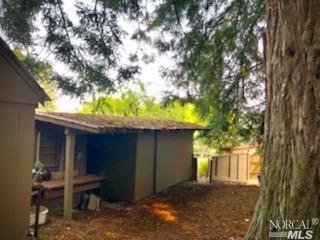 3431 Burnside Rd, Sebastopol, CA 95472 photo 51