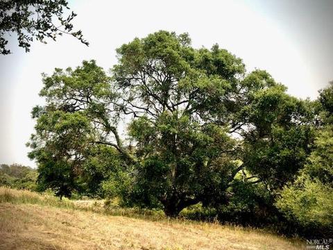 3431 Burnside Rd, Sebastopol, CA 95472 photo 71