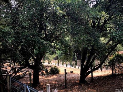 3431 Burnside Rd, Sebastopol, CA 95472 photo 68