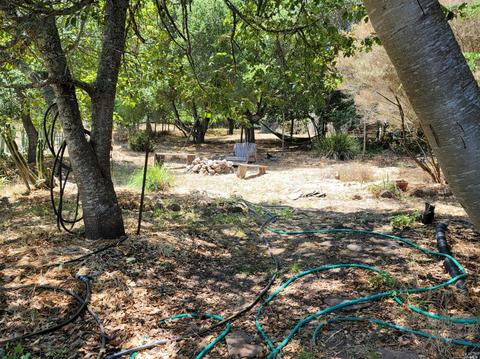 3431 Burnside Rd, Sebastopol, CA 95472 photo 29