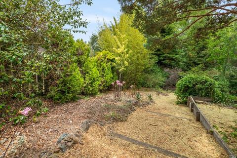1095 Pine Tree Ln, Sebastopol, CA 95472 photo 54