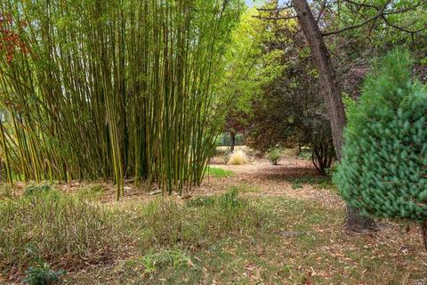 1095 Pine Tree Ln, Sebastopol, CA 95472 photo 56