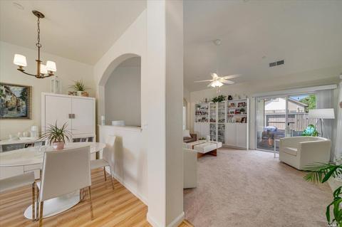 845 Peggy Lee Ct, Windsor, CA 95492 photo 10