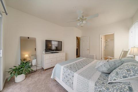 845 Peggy Lee Ct, Windsor, CA 95492 photo 23