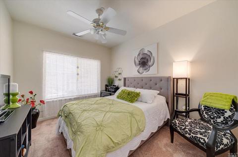 845 Peggy Lee Ct, Windsor, CA 95492 photo 19