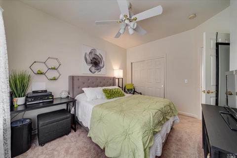 845 Peggy Lee Ct, Windsor, CA 95492 photo 20
