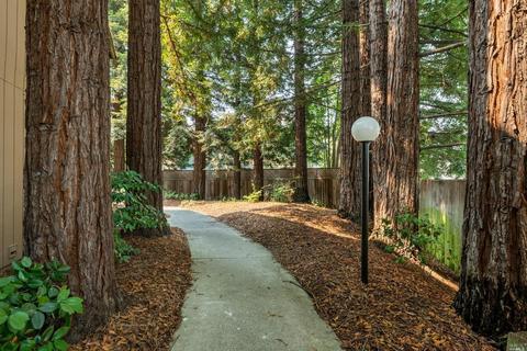 89 Nicholas Ct, Cotati, CA 94931 photo 2