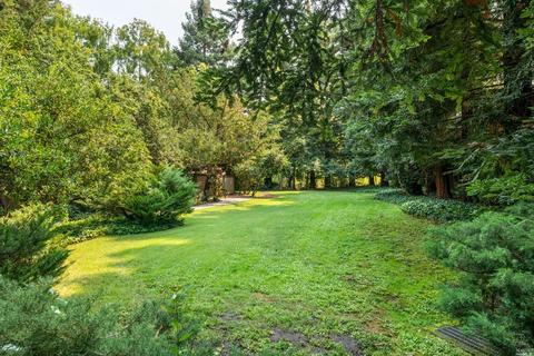 89 Nicholas Ct, Cotati, CA 94931 photo 23