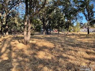 3270 Clarkson St, Clearlake, CA 95422 photo 1