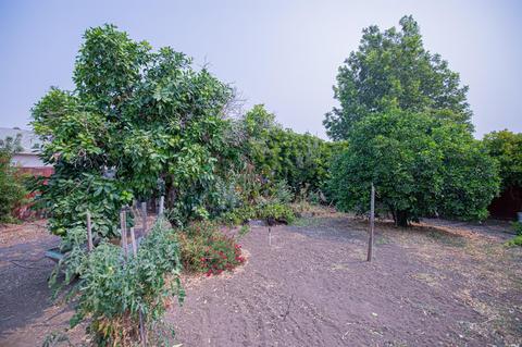 530 Gregory Ln, Fairfield, CA 94533 photo 63