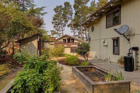 5851 Bodega Ave, Petaluma, CA 94952 photo 63