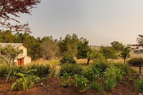 5851 Bodega Ave, Petaluma, CA 94952 photo 55