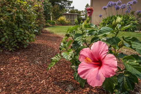 1 Spindrift Psge, Corte Madera, CA 94925 photo 49