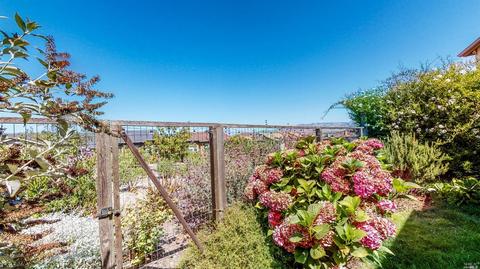 325 Jacquelyn Ln, Petaluma, CA 94952 photo 44