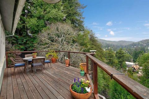 47 Woodside Ln, Mill Valley, CA 94941 photo 33