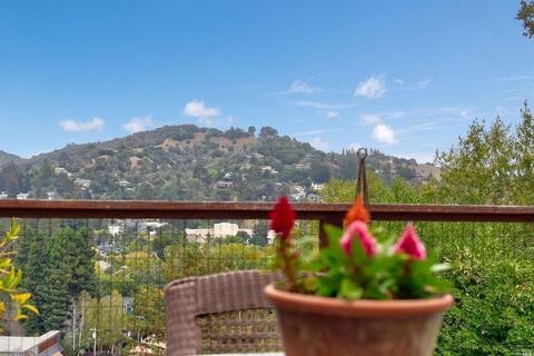 47 Woodside Ln, Mill Valley, CA 94941 photo 39