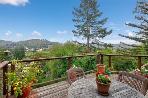47 Woodside Ln, Mill Valley, CA 94941 photo 38