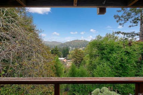 47 Woodside Ln, Mill Valley, CA 94941 photo 41