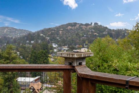 47 Woodside Ln, Mill Valley, CA 94941 photo 36