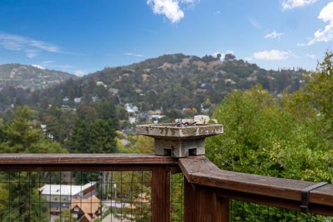 47 Woodside Ln, Mill Valley, CA 94941 photo 35